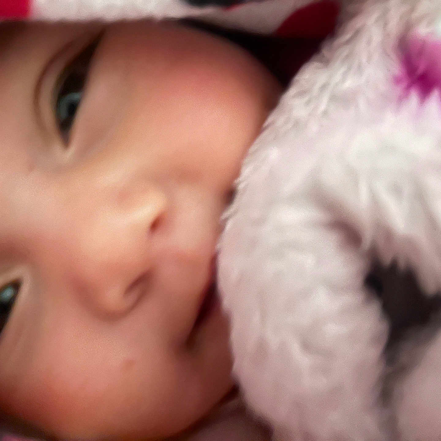Malia is registered to the contest to win money with this photo: baby, face, close_up, blanket, soft_texture, infant, skin, eyes, cozy, pink, snuggling, child, portrait, cute, warm, sleepy, comfort, young, expression, fuzzy