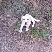 Jahya participe au concours pour gagner de l'argent avec cette photo :