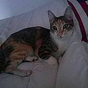 Princesse participe au concours pour gagner de l'argent avec cette photo :