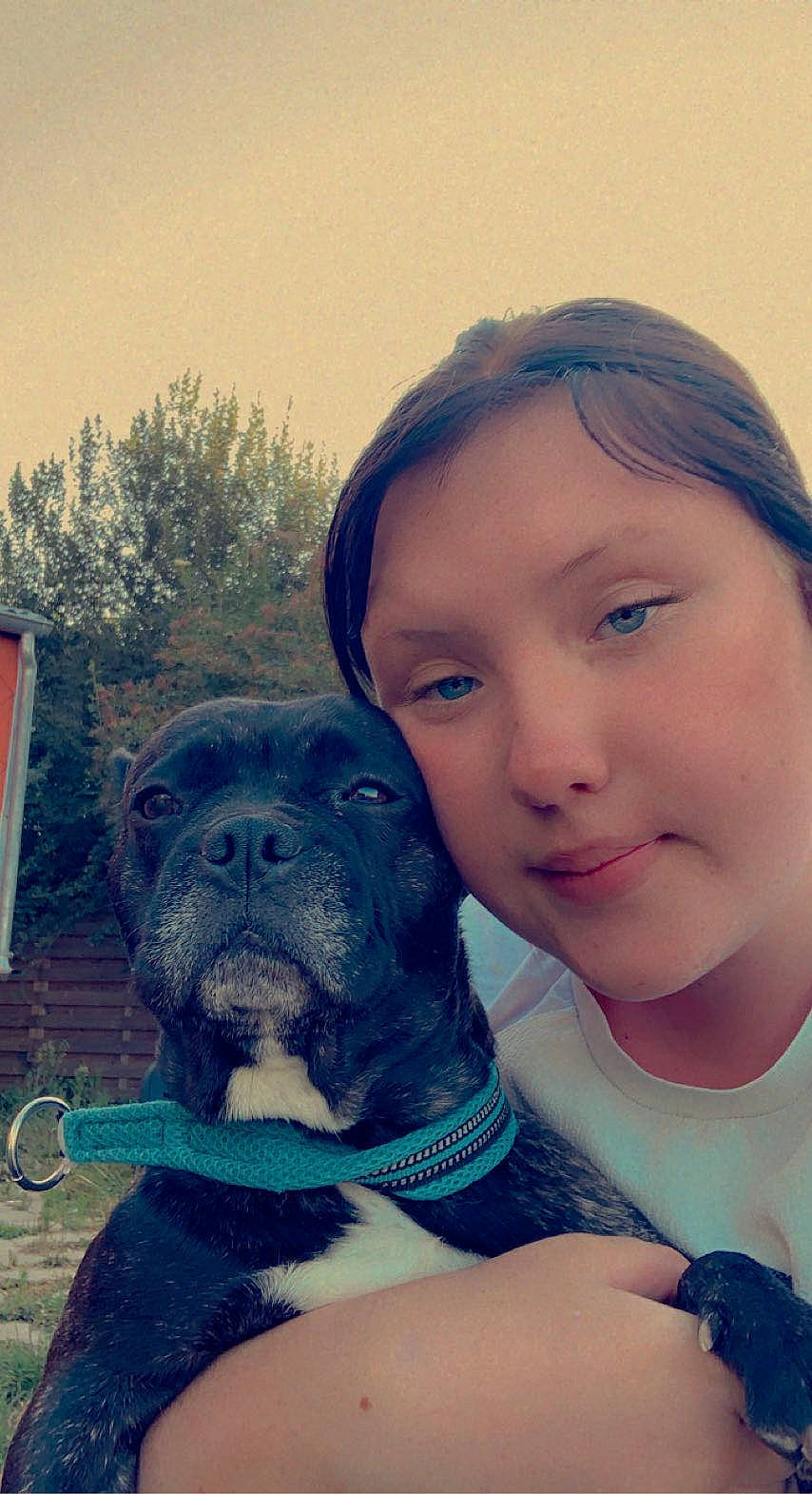 Baghera participe au concours pour gagner de l'argent avec cette photo : carnivore, companion_dog, dog, dog_breed, electric_blue, fawn, grass, guard_dog, happy, leisure, love, non_sporting_group, portrait_photography, selfie, sitting, sky, tree, working_animal, working_dog