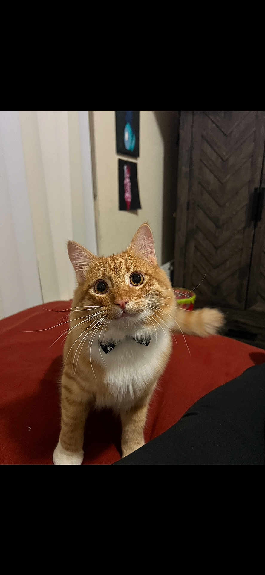 Chucky