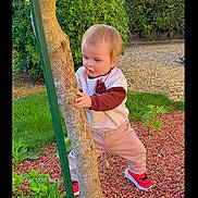 Maël a rejoint le concours — aidez-le/la à gagner de superbes lots ! baby, bushes, child, exploring, face, garden, grass, gravel, hand_on_tree, outdoors, pants, portrait, red_shoes, sneakers, standing, sweatshirt, toddler, tree, trunk, yard