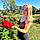 Kylee H.