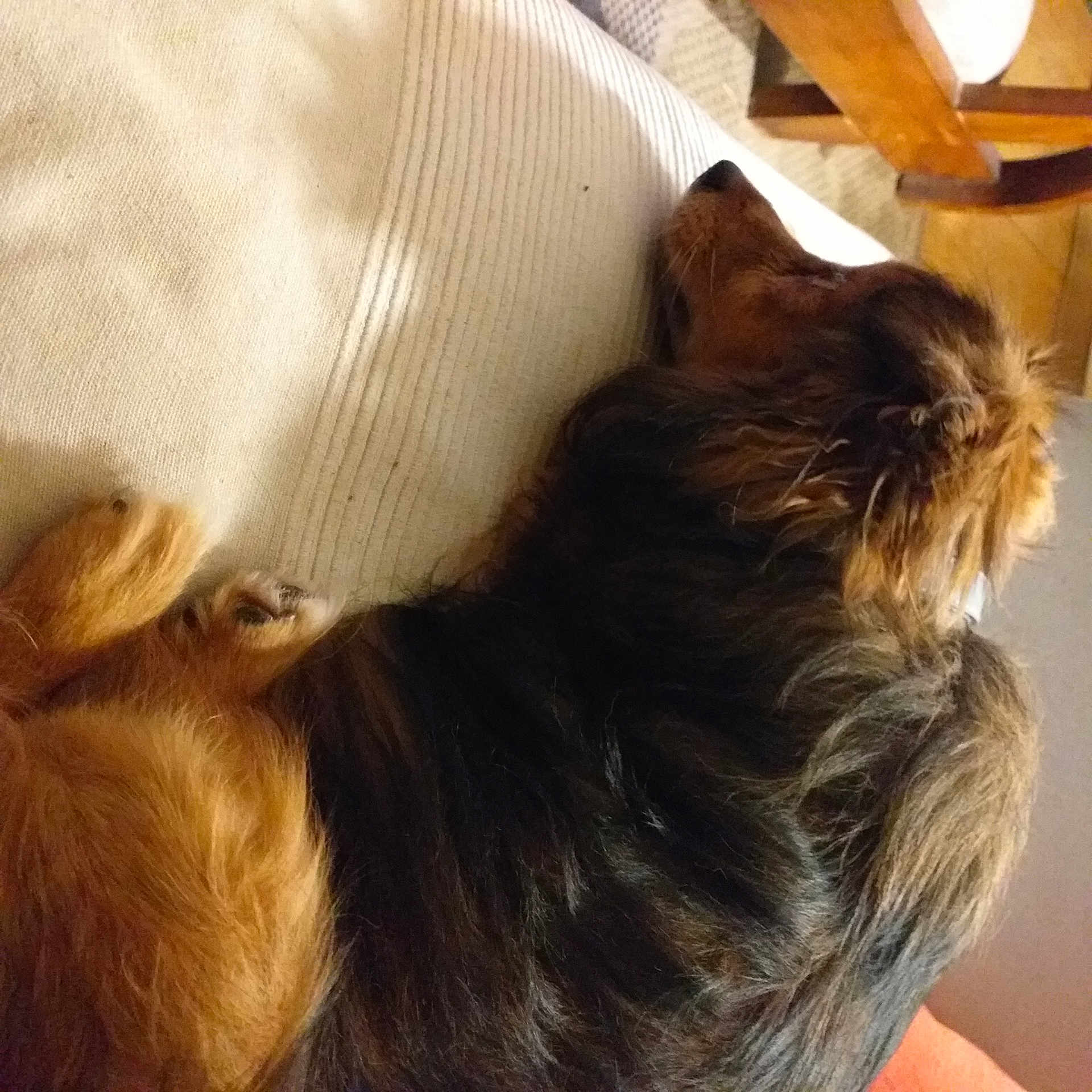Rusty