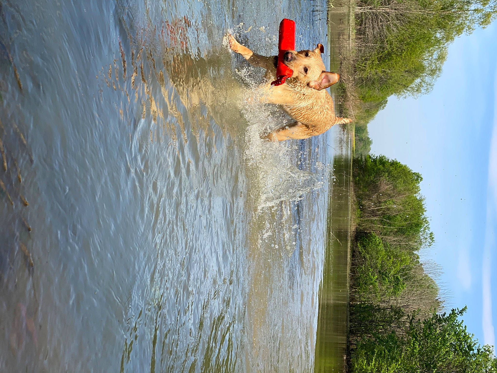 Kimber joined the competition — help win amazing prizes! adventure, body_of_water, extreme_sport, grass, lake, landscape, leisure, line, plant, recreation, reflection, rock, sky, sport_climbing, tree, wall, water, water_feature, watercourse, wood