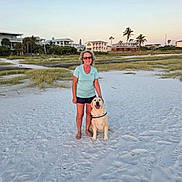 Lulu is registered to the contest to win money with this photo: beach, casual_clothing, dog, footwear, golden_retriever, grass, houses, leash, nature, outdoor, palm_trees, pet, relaxation, sand, sky, smiling, summer, sunset, vacation, woman
