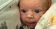 Bailey is registered to the contest to win money with this photo: baby, infant, blanket, pillow, floral, face, eyes, cozy, cute, indoors, soft, pattern, person, newborn, expression, closeup, head, resting, comfort, warm
