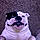 Bailey