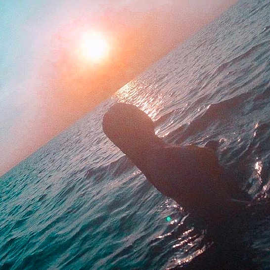 Typhaine participe au concours pour gagner de l'argent avec cette photo : horizon, ocean, sea, sky, sunlight, surfing, tide, water, wave, wind_wave