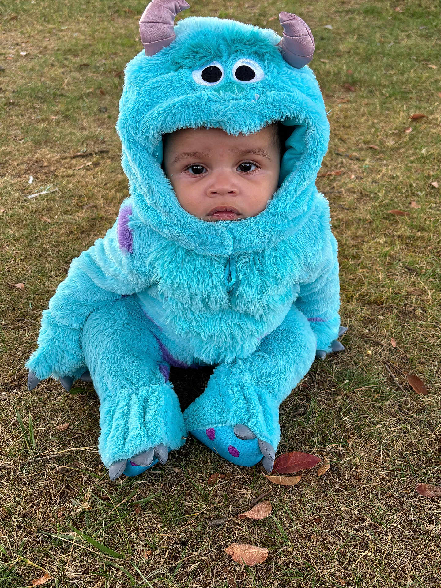 Zamarii is registered to the contest to win money with this photo: toddler, child, costume, monster, blue, outdoor, grass, cute, face, hood, horns, clothing, expression, sitting, feet, toy_like, playful, nature, young, portrait