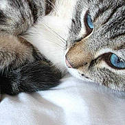 Chanel a rejoint le concours — aidez-le/la à gagner de superbes lots !