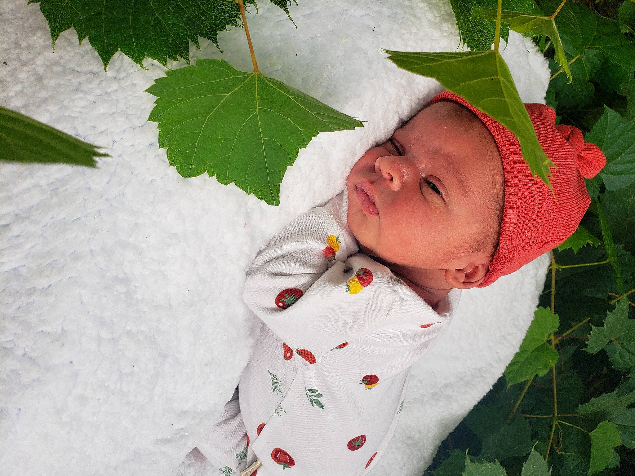 Kieran Julius is registered to the contest to win money with this photo: baby, baby_toddler_clothing, child, comfort, eye, flowering_plant, grass, happy, hat, head, headwear, leaf, linens, pattern, people_in_nature, person, plant, sleeve, sun_hat, toddler