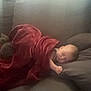 Lové is registered to the contest to win money with this photo: animal, baby, blanket, child, comfort, couch, cozy, cute, furniture, indoor, kitten, nap, peaceful, pet, pillow, red_blanket, rest, sleeping, soft, toddler