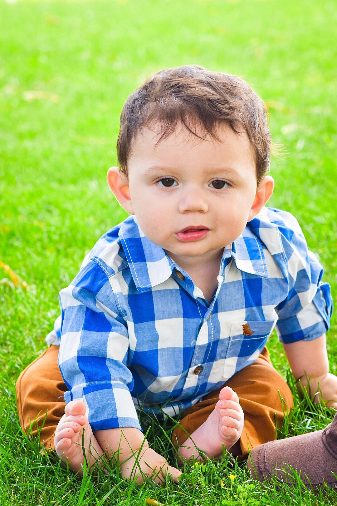 Michael joined the competition — help win amazing prizes! baby, child, finger, grass, grass_family, happy, lawn, meadow, people_in_nature, person, plant, play, playing_with_kids, sitting, smile, toddler