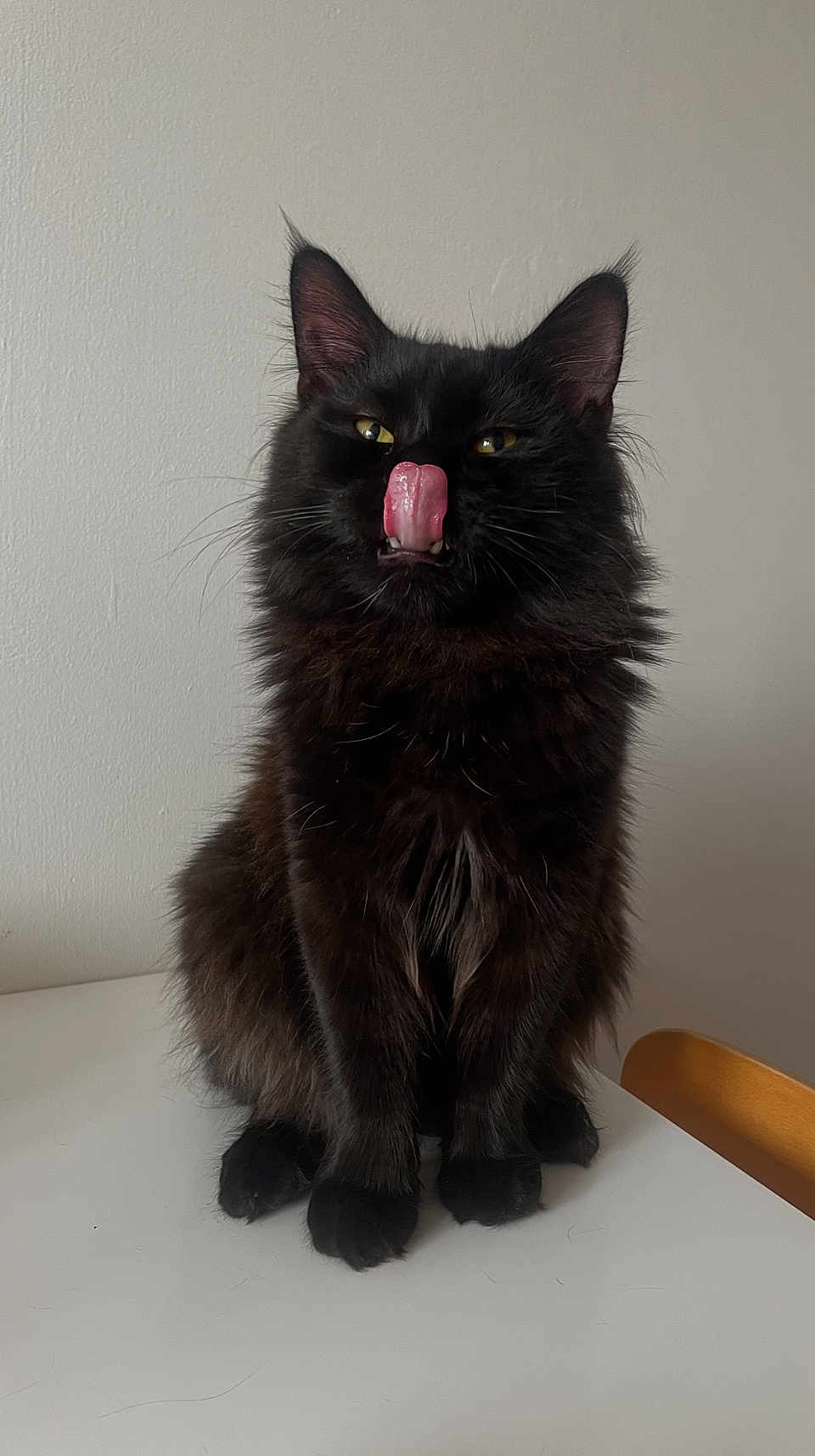 Walter