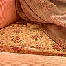 Gizmo is registered to the contest to win money with this photo: cat, kitten, paws, hidden, blanket, cushion, floral_pattern, upholstery, fabric, cozy, indoors, home, sleeping_area, peach_color, soft_texture, cuddly, cute, camouflage, closeup, pet