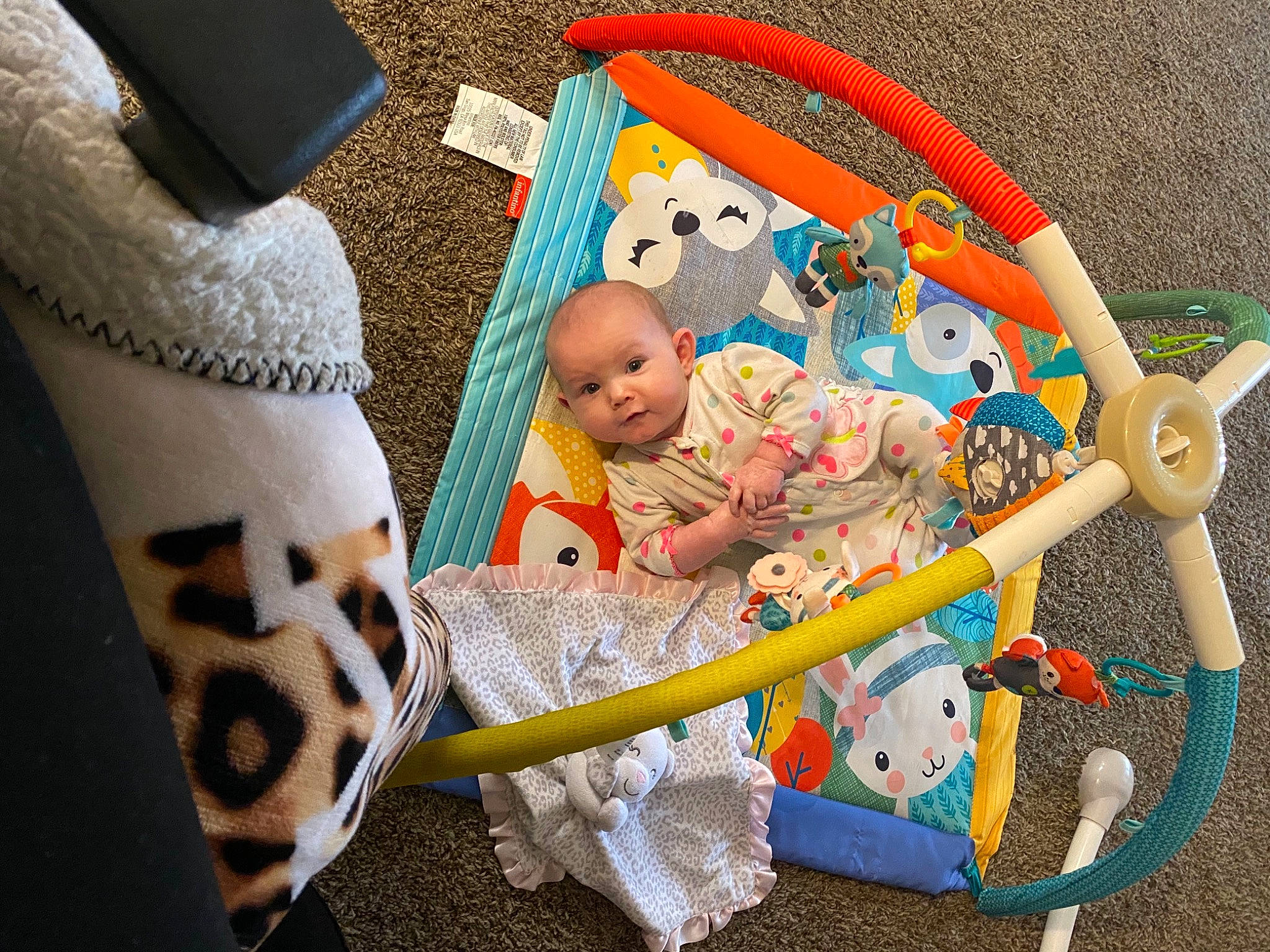 Brooklynn joined the competition — help win amazing prizes! baby, baby_products, baby_toys, child, diaper_bag, person, play, playmat, product, room, stuffed_toy, toddler, toy