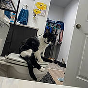 Milo is registered to the contest to win money with this photo: cat, toilet, bathroom, towel, wall_art, closet, clothing, floor_mat, door, sink, mirror, shelf, bottle, black_and_white_cat, pet, indoor, furniture, relaxing, animal, home