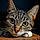 Tigrette