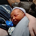 Ethan S.