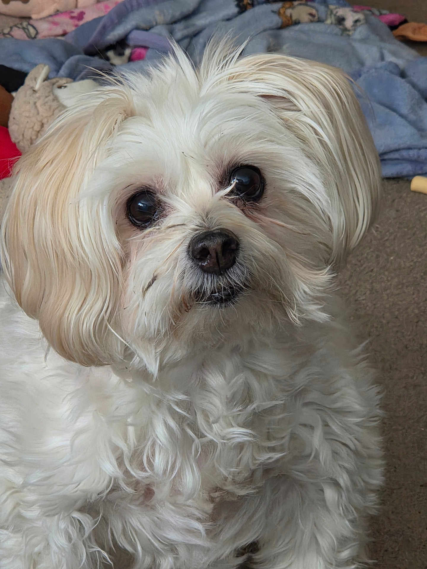Zoey-Elisabeth