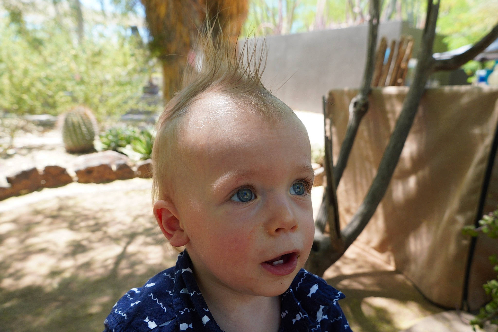 Walker joined the competition — help win amazing prizes! adaptation, baby, baby_toddler_clothing, chin, face, grass, happy, iris, leaf, leisure, mammal, mouth, nose, people_in_nature, person, plant, skin, smile, sunlight, toddler