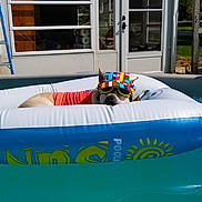 Sadie Bella Bella Deshon joined the competition — help win amazing prizes! boats_and_boating_equipment_and_supplies, comfort, electric_blue, fun, games, grass, inflatable, leisure, personal_protective_equipment, plant, recreation, rectangle, sports, transport, tubing, water, water_transportation, window