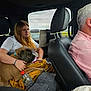 Arès participe au concours pour gagner de l'argent avec cette photo : car_interior, girl, dog, blanket, seat, phone, man, driving, window, road_trip, pet, vehicle, leisure, travel, human, animal, resting, casual_clothing, seatbelt, daytime