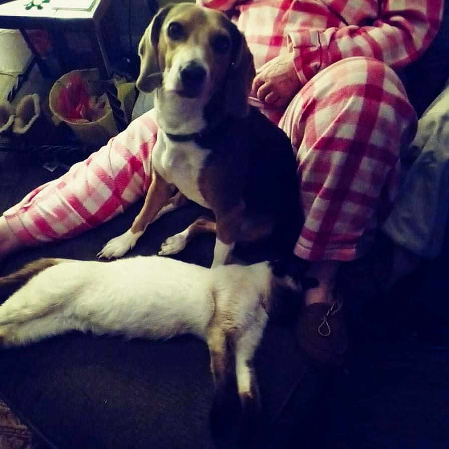 Atommy Tommy For Shot