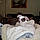 Baby Dog