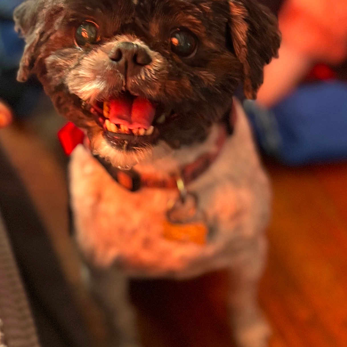 Jack