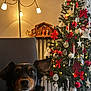 Rocky a rejoint le concours — aidez-le/la à gagner de superbes lots ! black_dog, celebration, chair, christmas, christmas_tree, decorations, dog, festive, holiday, holiday_season, indoor, lamp, lights, nativity_scene, ornaments, pet, radiator, red_bows, santa_doll, wooden_floor