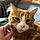 Tom