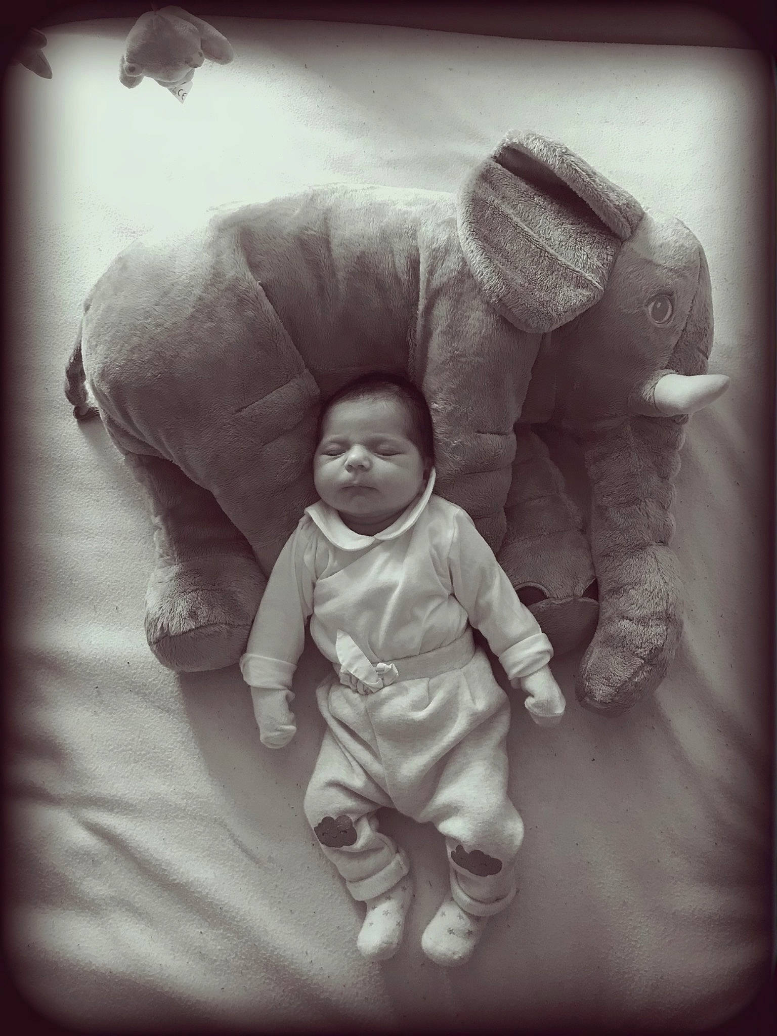 Lou participe au concours pour gagner de l'argent avec cette photo : art, baby, baby_sleeping, baby_toddler_clothing, black_and_white, cheek, comfort, flash_photography, gesture, happy, monochrome, monochrome_photography, mouth, nose, person, room, sleeve, stock_photography, style, toddler