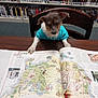 dog, small_dog, turquoise_shirt, table, book, open_book, map, library, bookshelf, chair, wooden_chair, indoor, reading, curious, pet, animal, brown_and_white_dog, carpet, sitting, studious