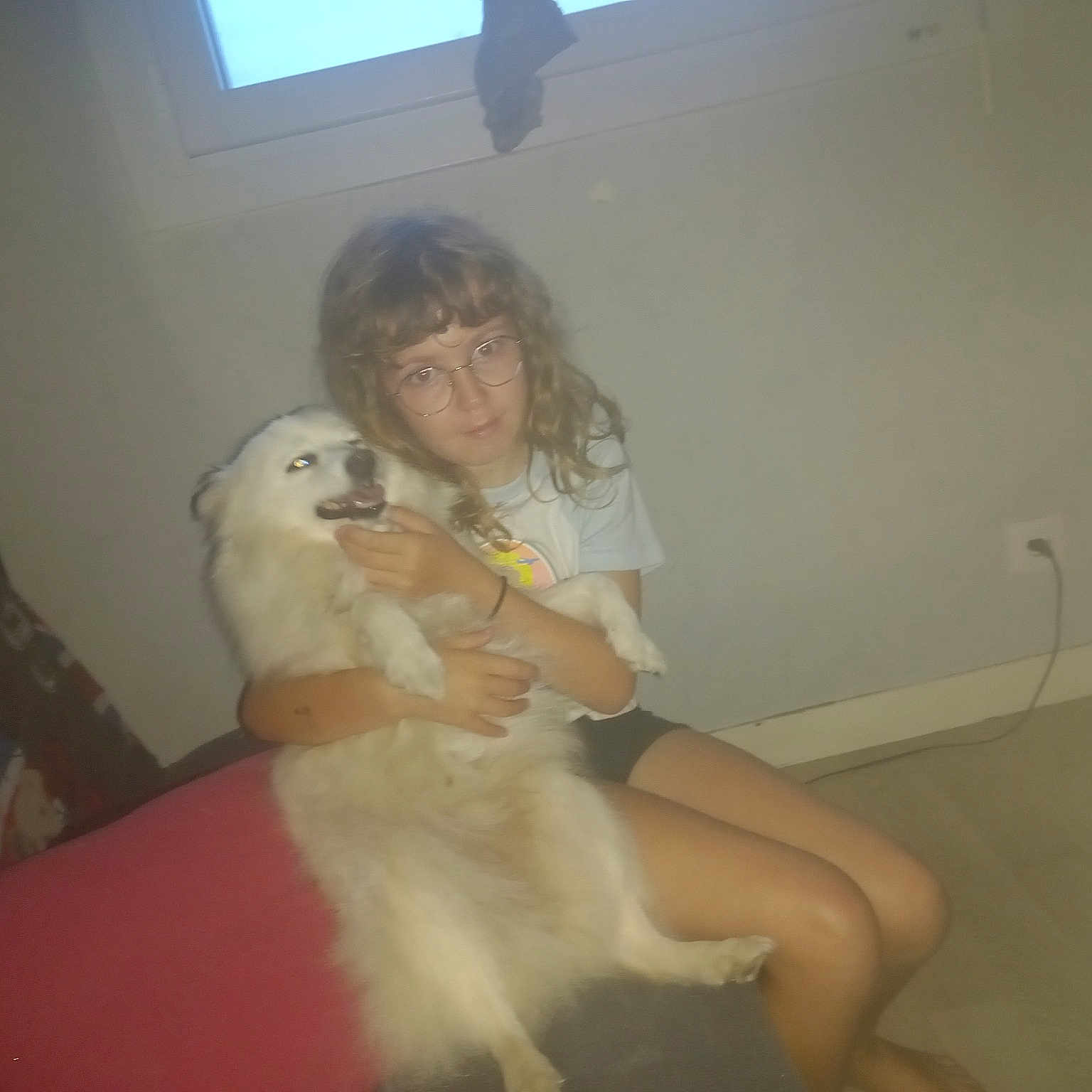 Orla