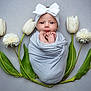 Kehlani is registered to the contest to win money with this photo: adorable, baby, baby_face, closeup, cute, floral_arrangement, flowers, green_leaves, headband, infant, lying_down, newborn, peaceful, portrait, soft_blanket, studio_photo, swaddled, white_bow, white_flowers, wrapped