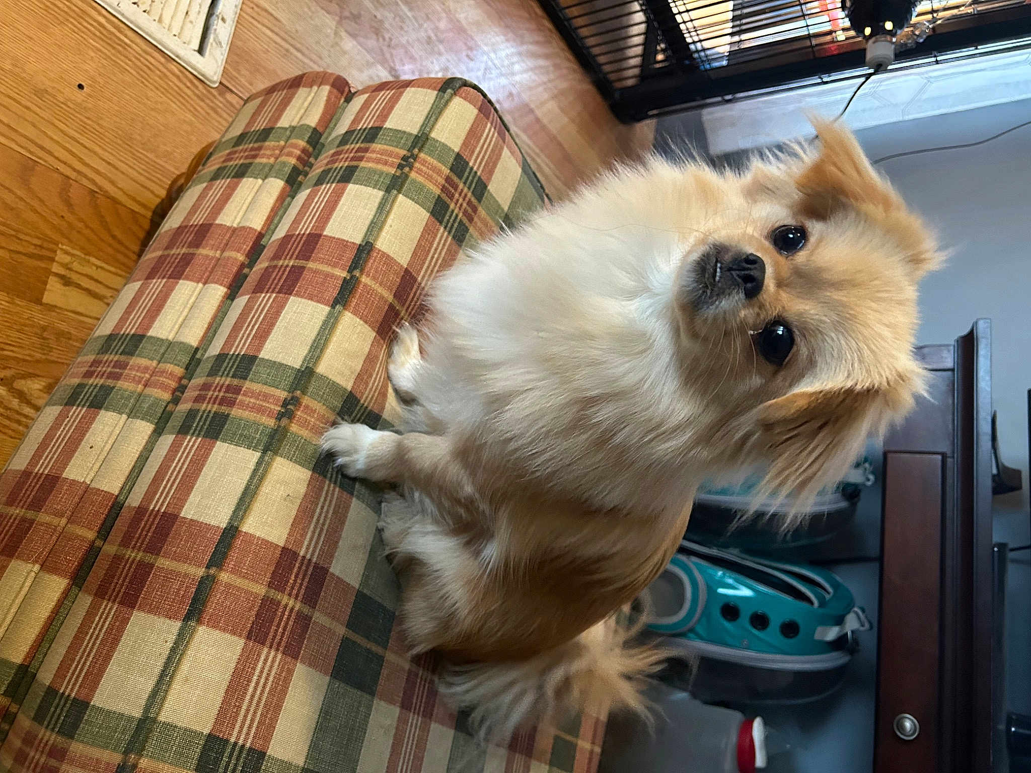 Buffie Aka Butter