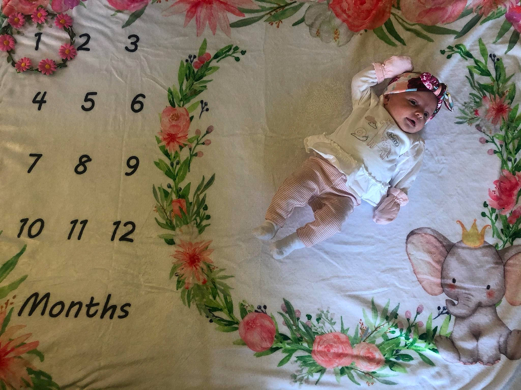 Ellamae is registered to the contest to win money with this photo: art, cut_flowers, floral_design, floristry, flower, flower_arranging, headwear, person, plant, textile, wildflower