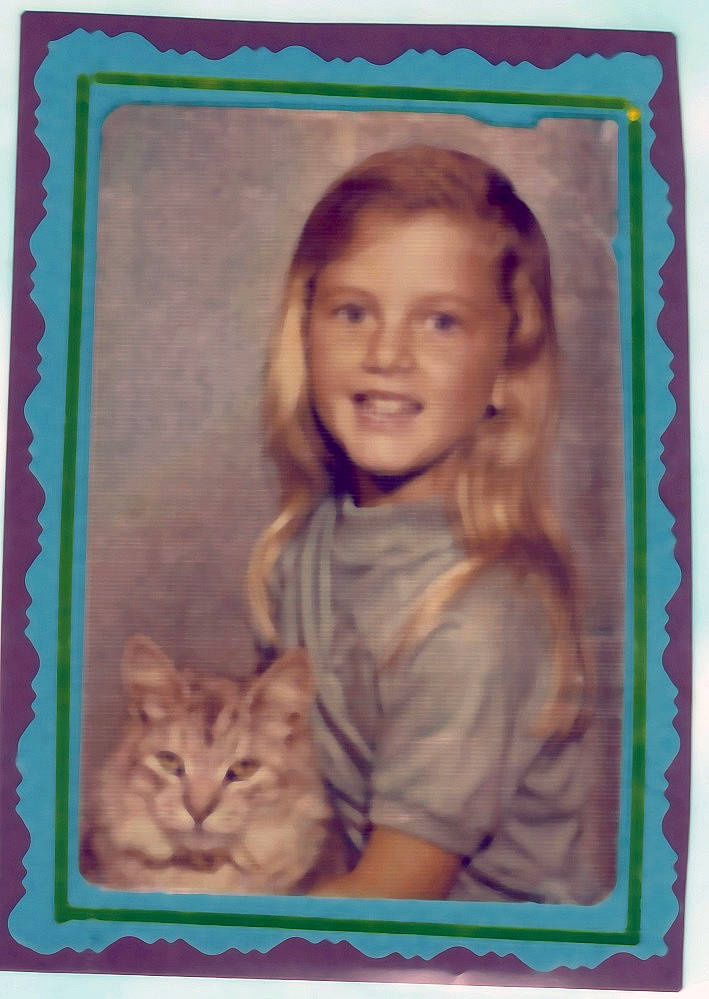 Sherkaun joined the competition — help win amazing prizes! cat, felidae, kitten, picture_frame, small_to_medium_sized_cats