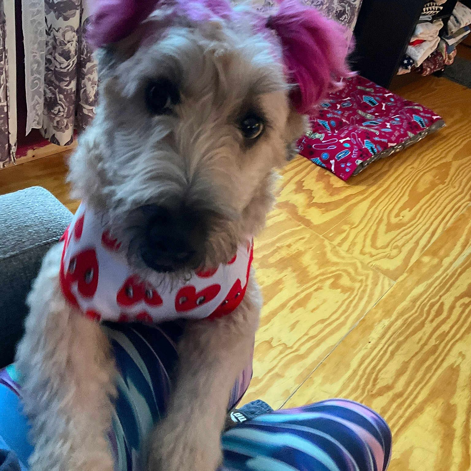 Zoey