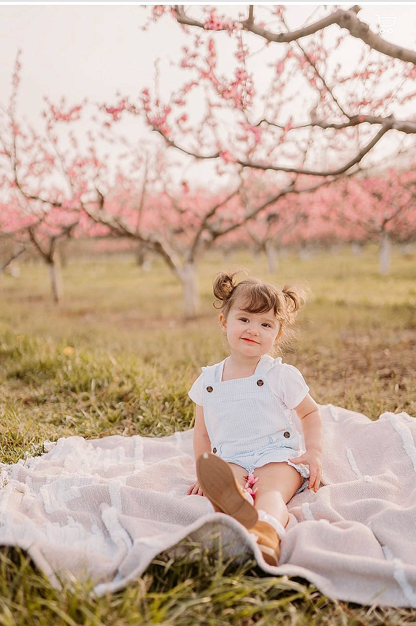 Thea is registered to the contest to win money with this photo: beauty, blossom, branch, child, dress, flash_photography, grass, grassland, happy, joy, leisure, nature, peach, people_in_nature, person, photograph, pink, plant, sitting, sky