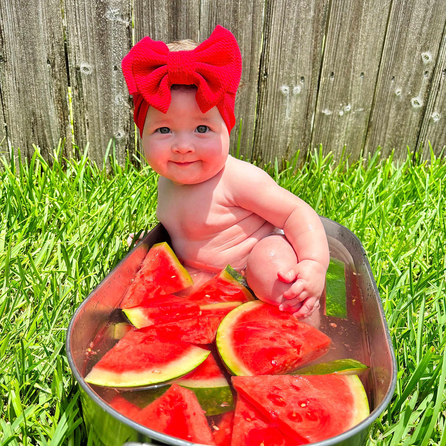 Avalyn is registered to the contest to win money with this photo: baby, child, chubby_cheeks, cute, fence, fruit, grass, greenery, headband, metal_tub, outdoor, playful, red_bow, sitting, skin, smiling, summer, sunlight, water, watermelon