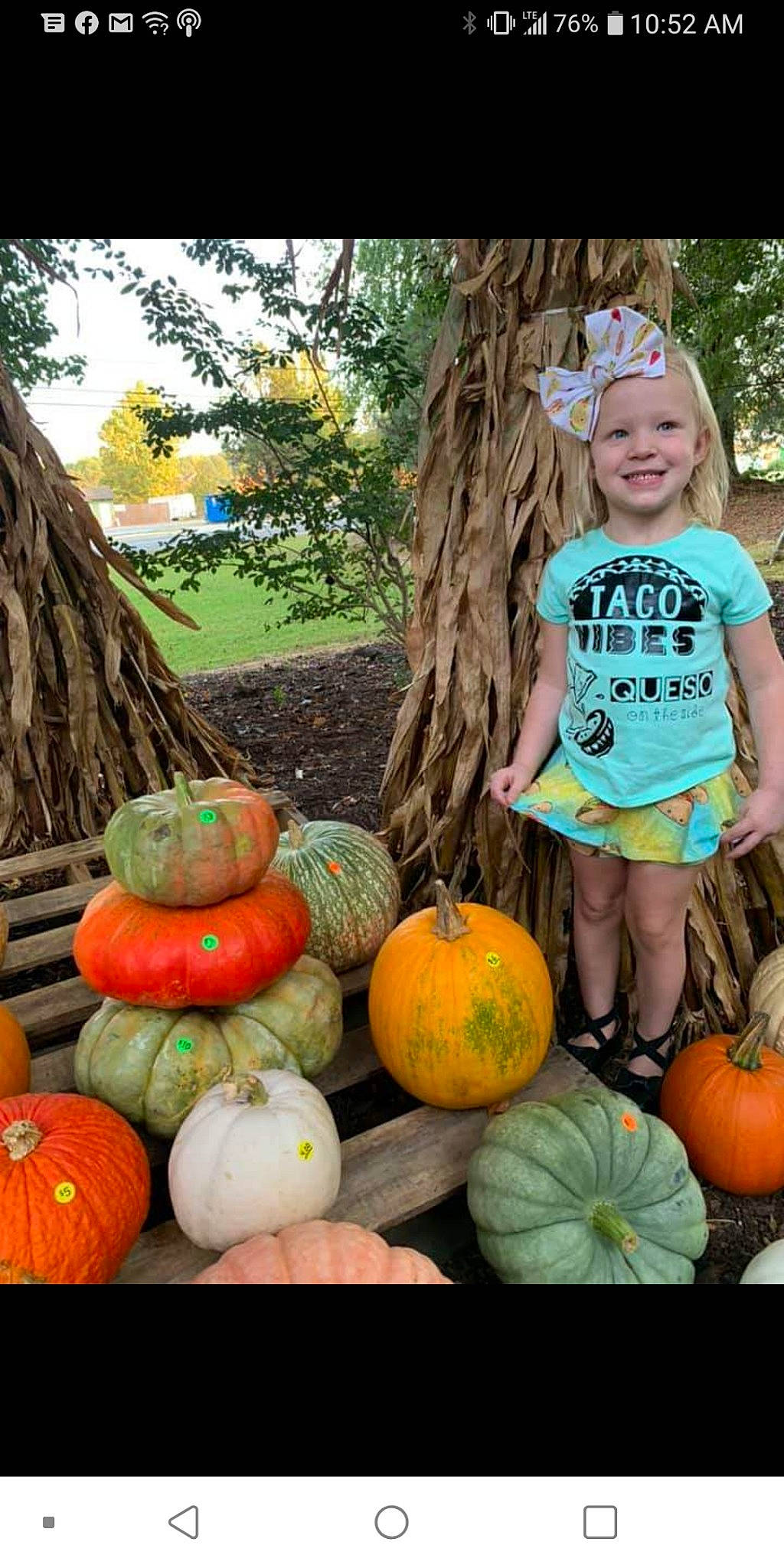 Brinnley is registered to the contest to win money with this photo: _and_melon_family, _gourd, calabaza, child, cucumber, cucurbita, food, fruit, gourd, headwear, joy, local_food, person, plant, produce, pumpkin, squash, toddler, vegetable, winter_squash