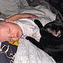 baby, sleeping, cat, black_cat, blanket, hand, cozy, bed, resting, cute, animal, child, indoor, comfort, fur, soft, peaceful, nap, together, warm