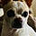 Floyd