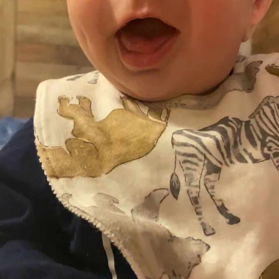Colton joined the competition — help win amazing prizes! animal, baby, babylaughing, bird, face, happy, head, person, zebra