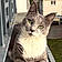 Arya