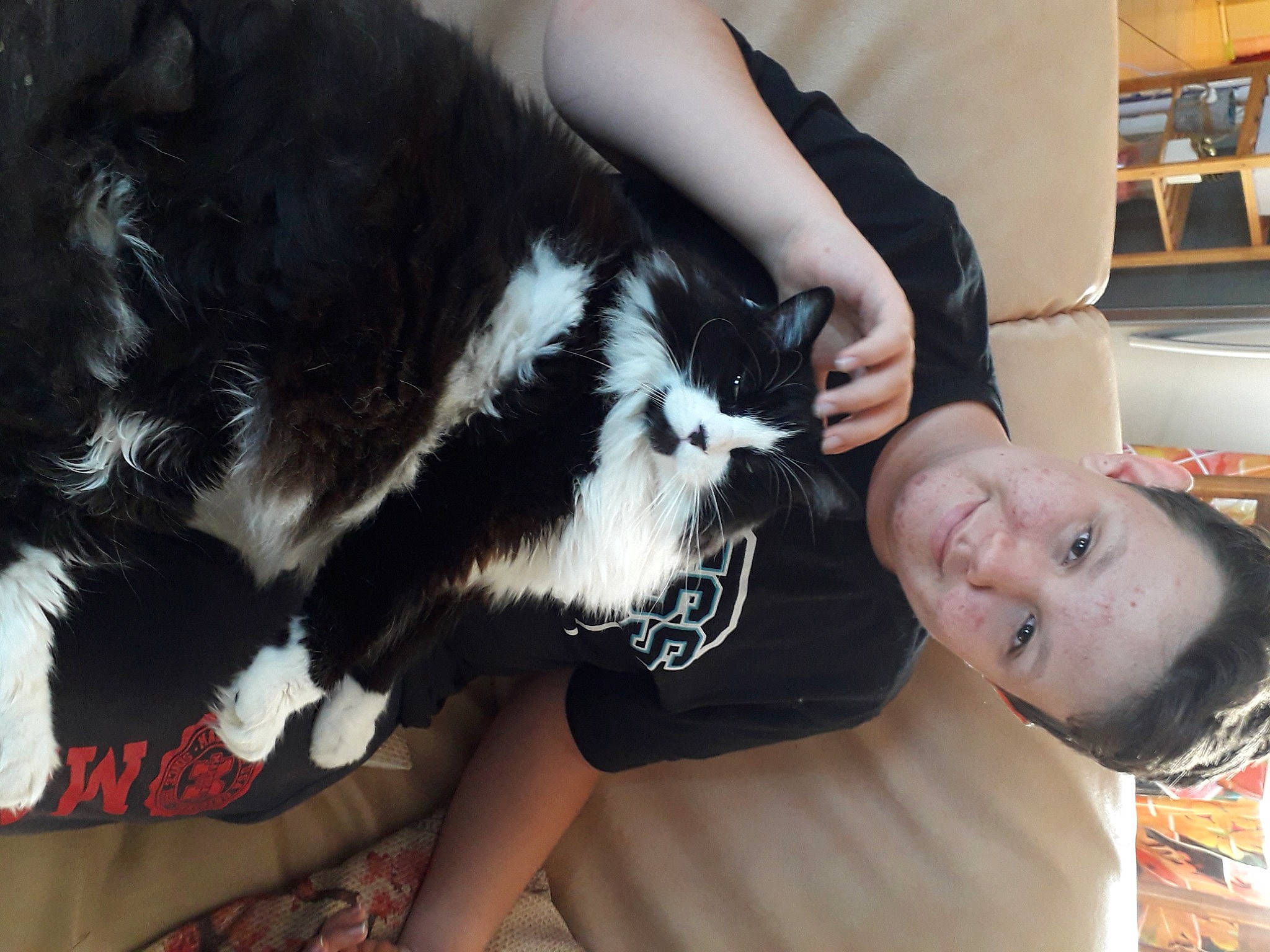 Demon a rejoint le concours — aidez-le/la à gagner de superbes lots ! arm, black_hair, carnivore, cat, companion_dog, dog_breed, ear, felidae, finger, fur, gesture, hand, happy, mammal, shelf, small_to_medium_sized_cats, sunglasses, tail, tree, whiskers