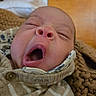 Mary is registered to the contest to win money with this photo: newborn, baby, infant, yawning, sleepy, face, portrait, close_up, indoors, blanket, swaddle, knitwear, clothing, warm, cozy, bed, wood, eyes_closed, mouth_open, photography